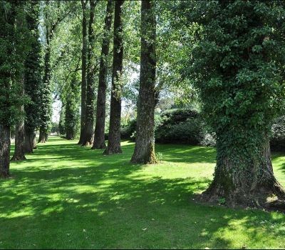 Parc Près la Rose - Montbéliard